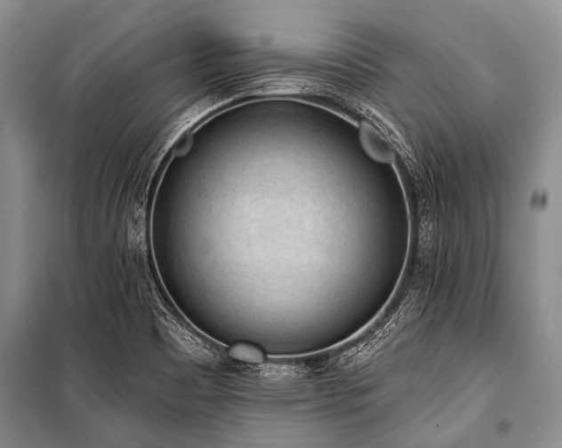 X0000101151465200806270932