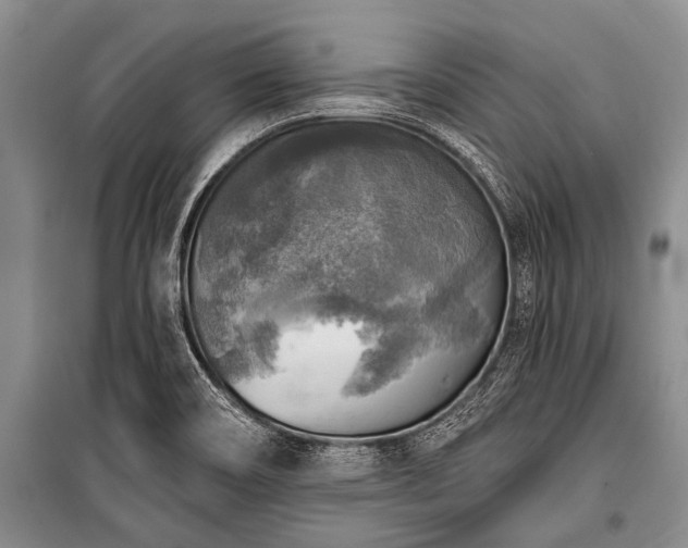 X0000101151466200806270932