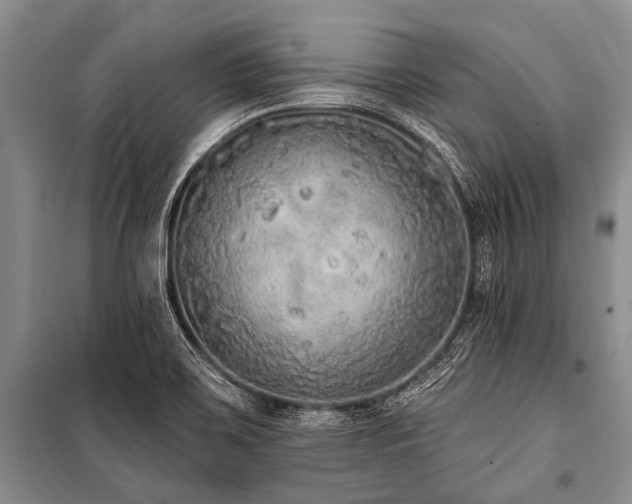 X0000101151467200806270932