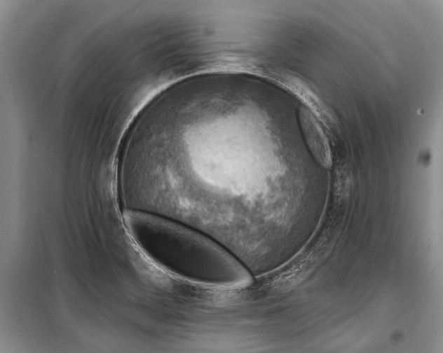 X0000101151468200806270932