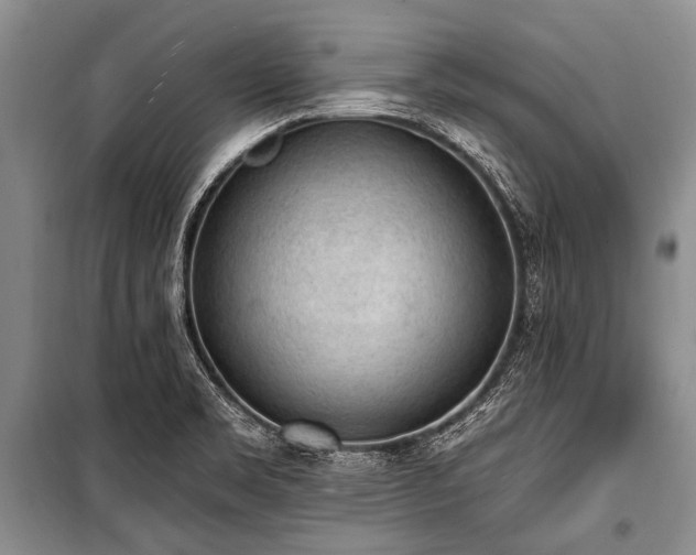 X0000101151469200806270932