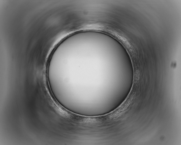 X0000101151470200806270932