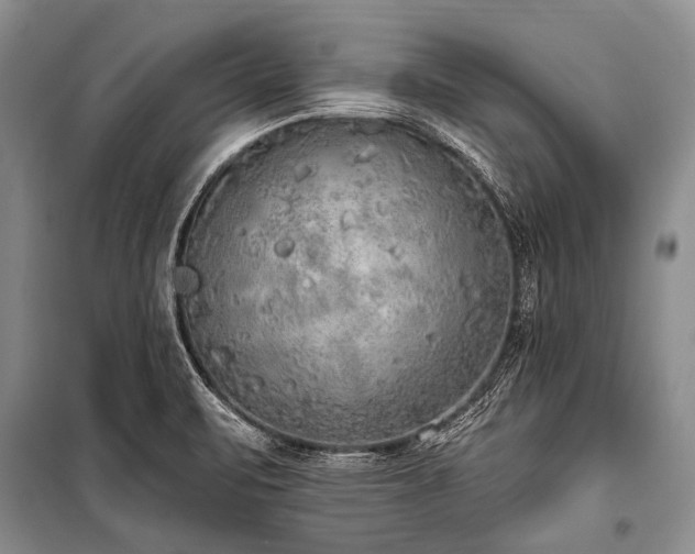 X0000101151471200806270932