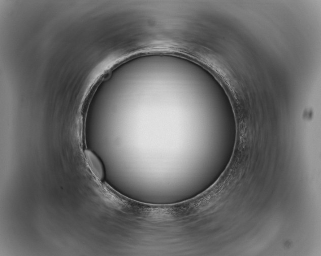 X0000101151472200806270932