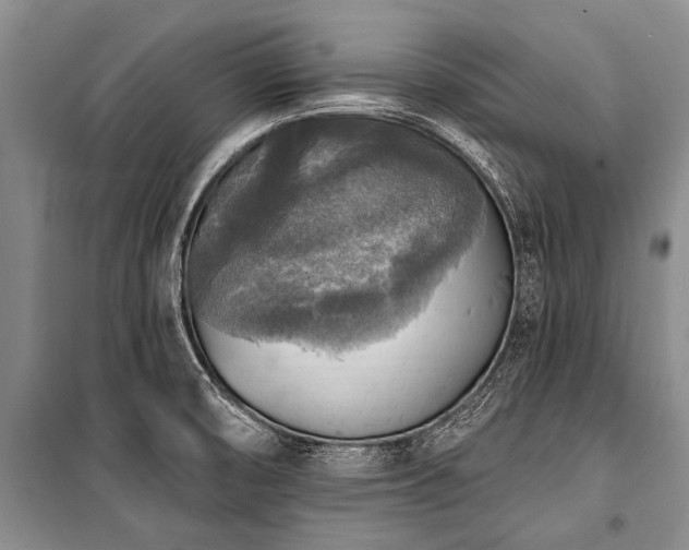 X0000101151474200806270932