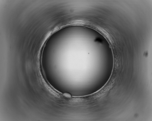 X0000101151475200806270932