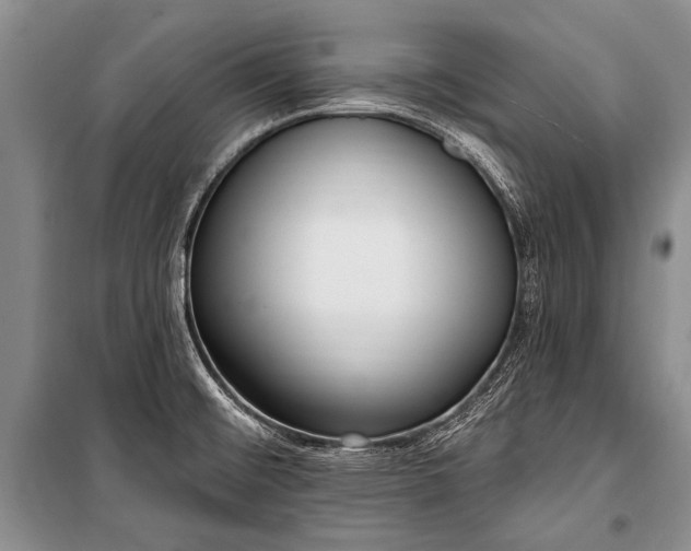 X0000101151476200806270932
