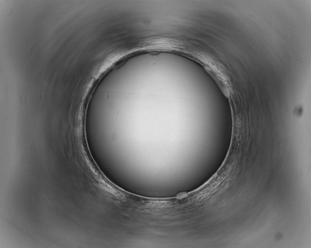 X0000101151477200806270932