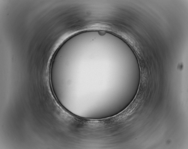 X0000101151478200806270932