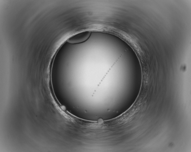 X0000101151479200806270932