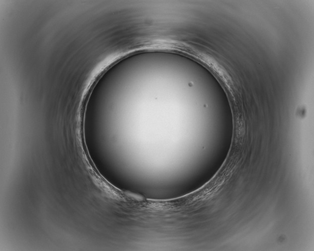 X0000101151480200806270932