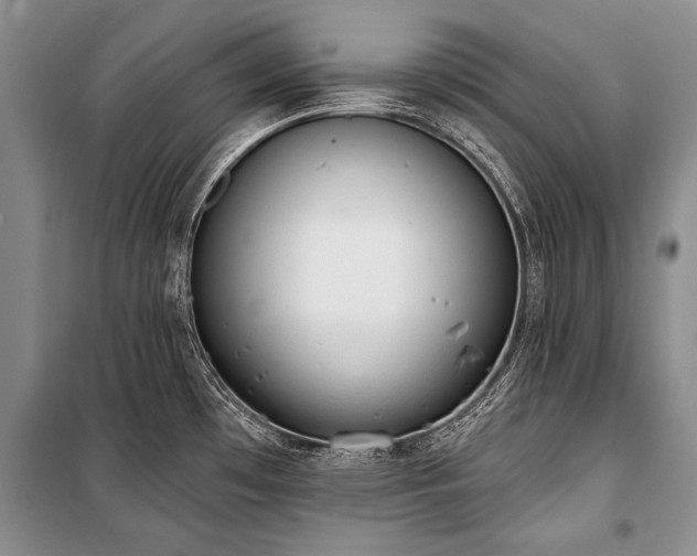 X0000101151481200806270932