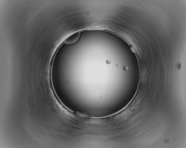 X0000101151484200806270932