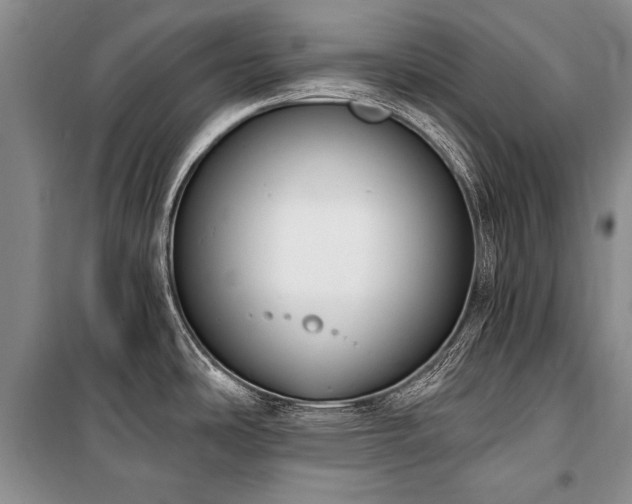 X0000101151486200806270932