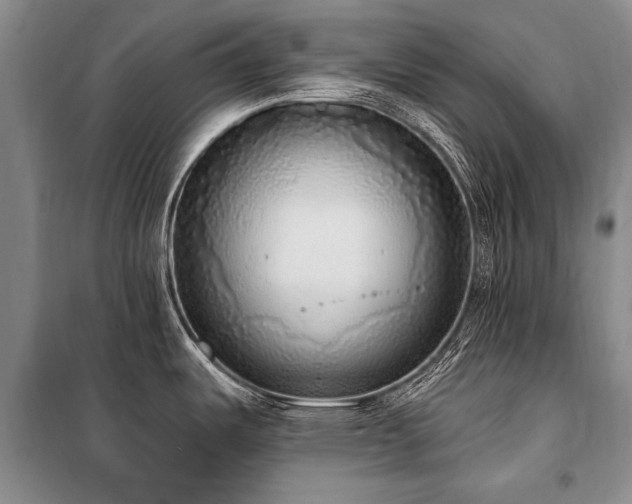 X0000101151487200806270932
