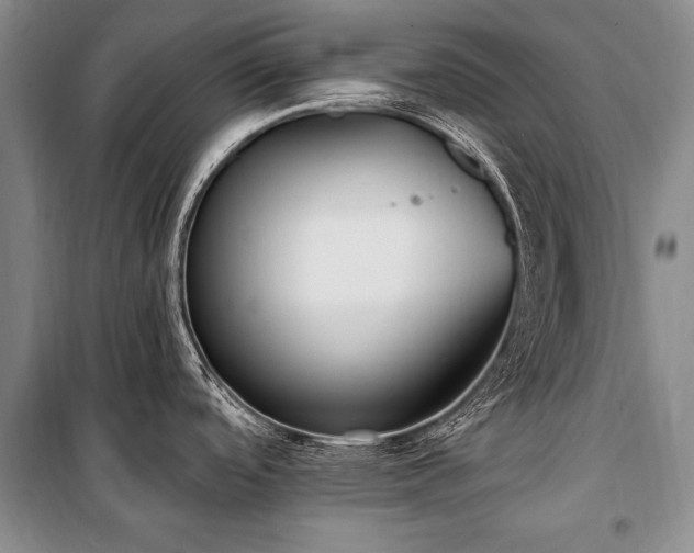 X0000101151488200806270932