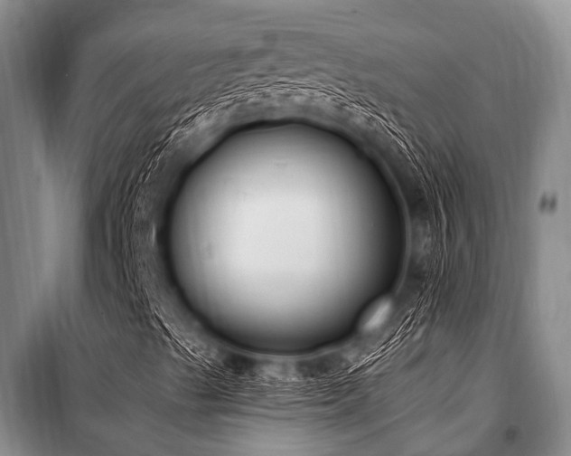 X0000101151489200806270931