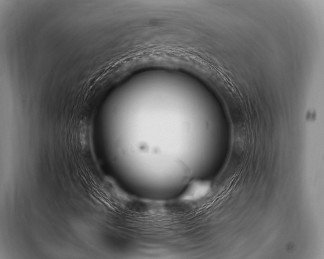 X0000101151490200806270931