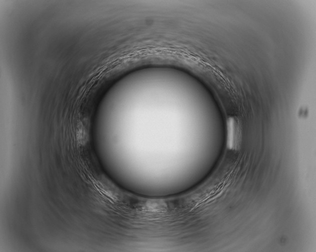 X0000101151491200806270931