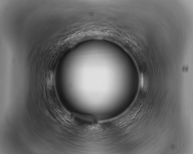 X0000101151492200806270931