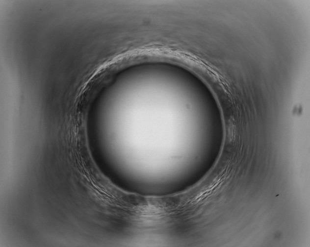 X0000101151494200806270931