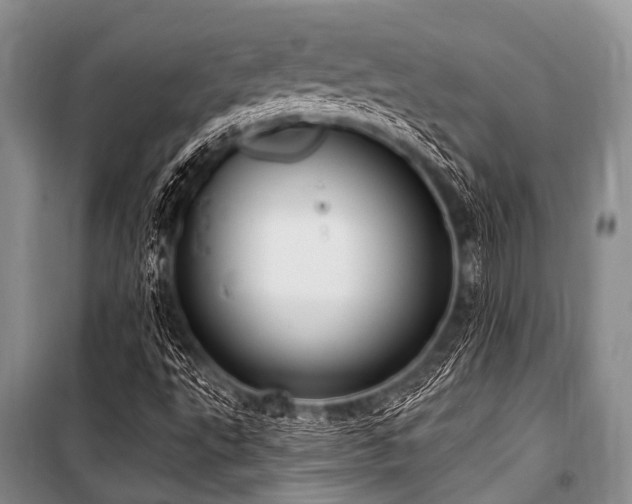 X0000101151495200806270931