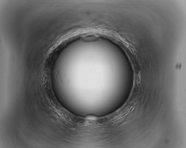 X0000101151496200806270931