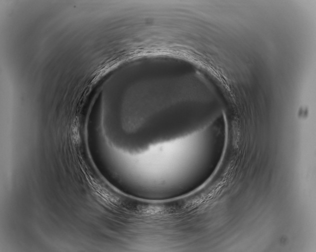 X0000101151497200806270931