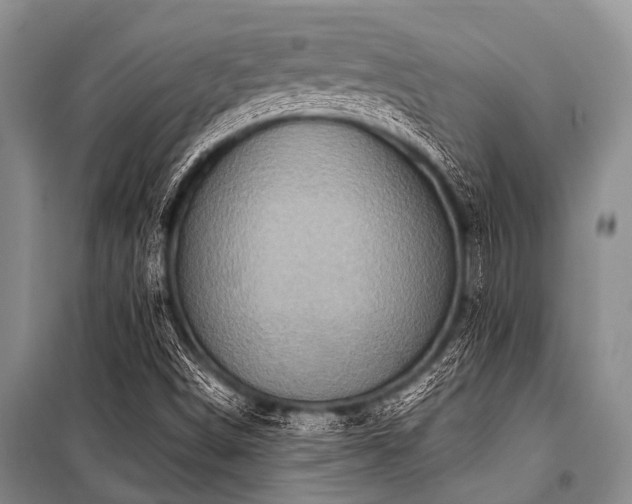 X0000101151498200806270931