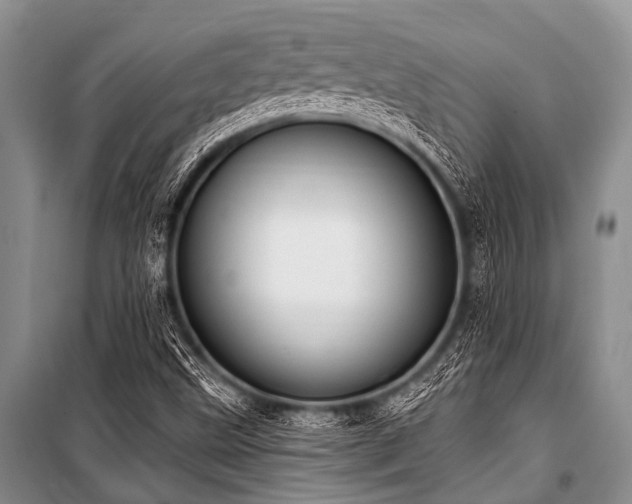 X0000101151499200806270931