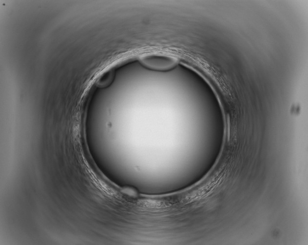 X0000101151500200806270931