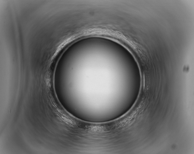 X0000101151501200806270931