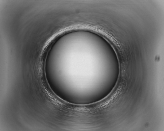 X0000101151502200806270931