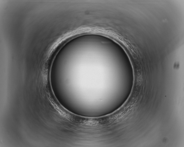 X0000101151503200806270931
