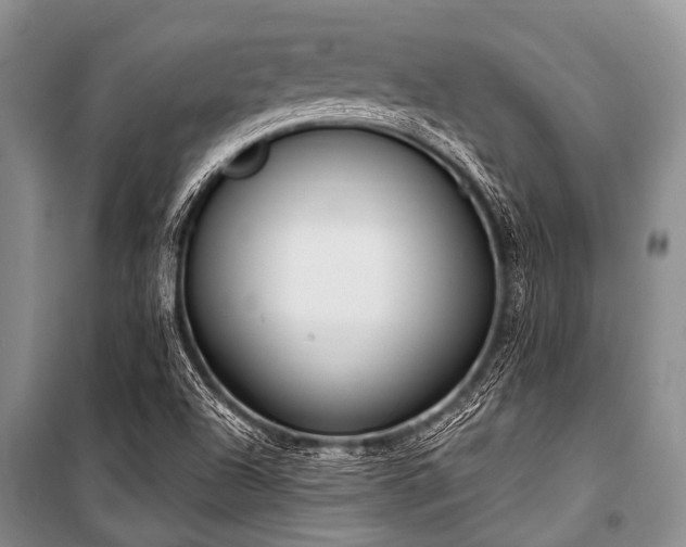 X0000101151504200806270931