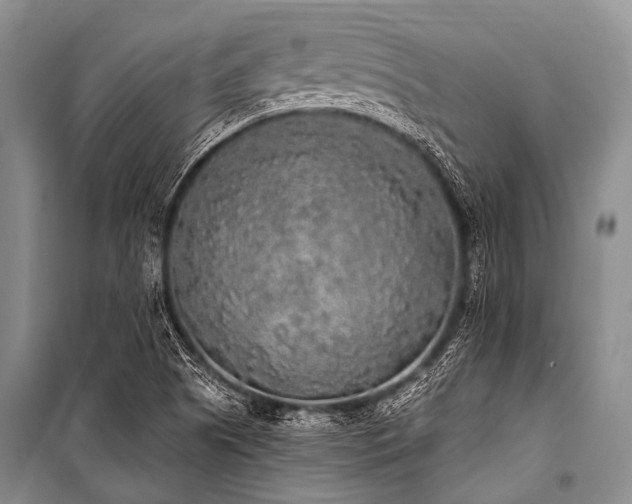 X0000101151505200806270931