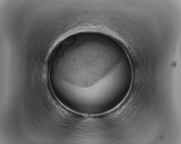 X0000101151506200806270931