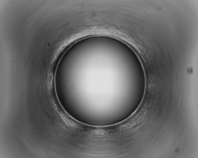 X0000101151507200806270931