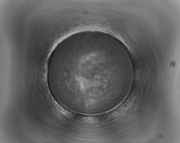 X0000101151508200806270931