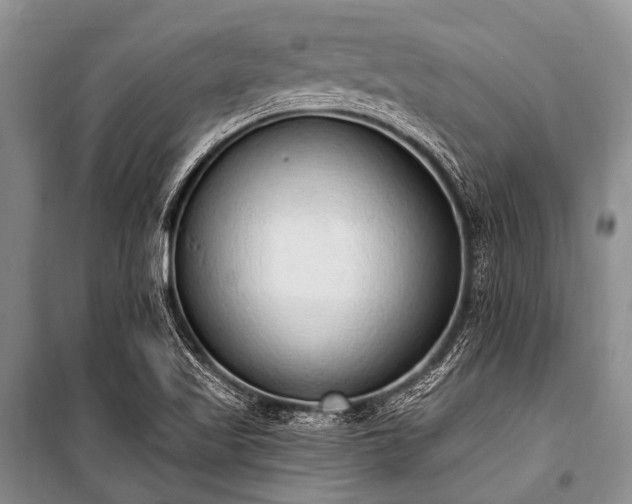 X0000101151509200806270931