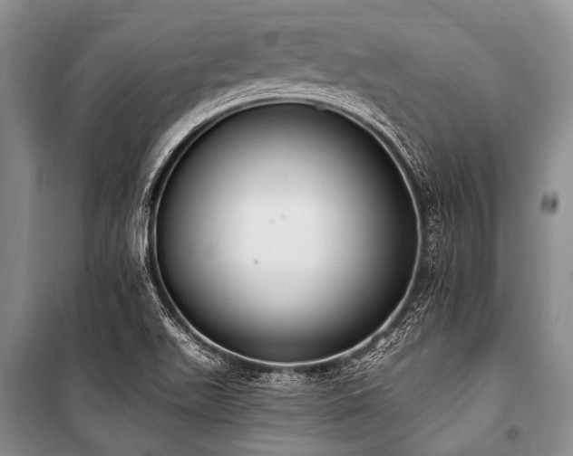 X0000101151511200806270931