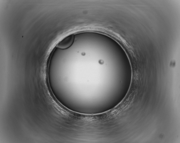 X0000101151512200806270931