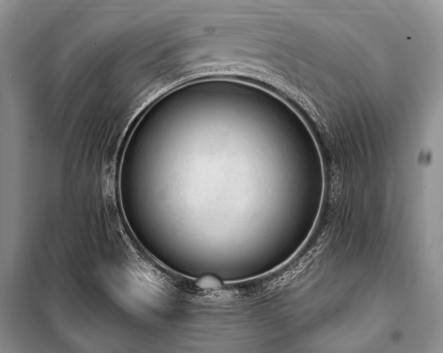 X0000101151513200806270931