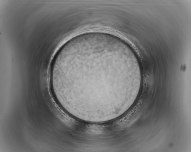 X0000101151514200806270931