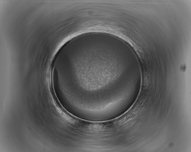 X0000101151515200806270931