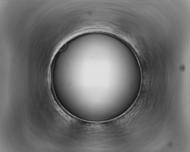 X0000101151516200806270931