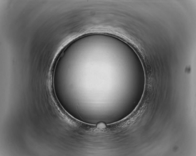 X0000101151517200806270931