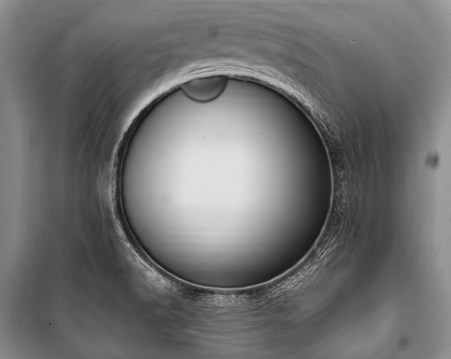 X0000101151518200806270931