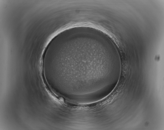 X0000101151519200806270931