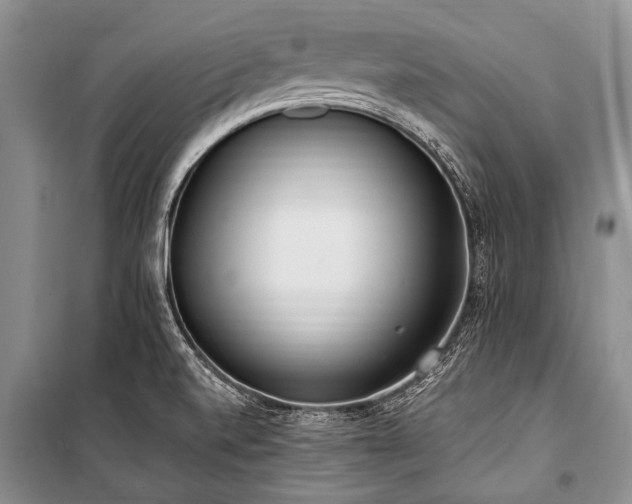 X0000101151520200806270931